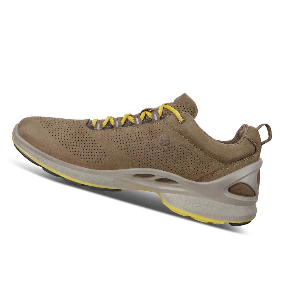 Ecco Mens Biom Fjuel Perf Hiking & Trail Herr Bruna | SE 568JPQ